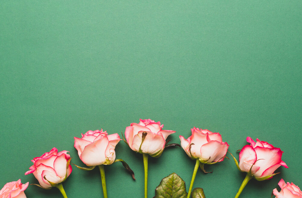 5 Rose Backgrounds To Celebrate Every Day