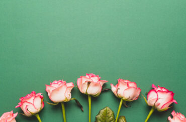 5 Rose Backgrounds To Celebrate Every Day