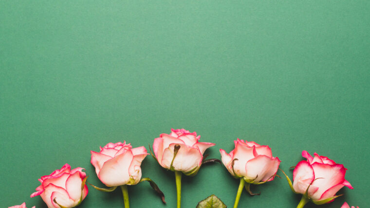 5 Rose Backgrounds To Celebrate Every Day