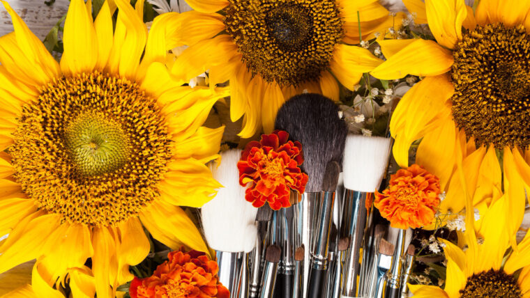 15 Most Beautiful Types of Sunflowers